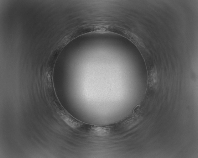 X0000083970522200702232021