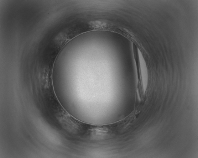 X0000083970525200702232021