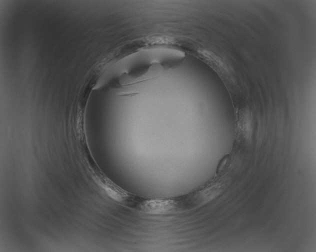 X0000083970526200702232021