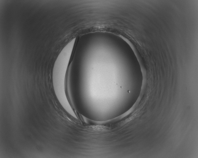 X0000083970528200702232021