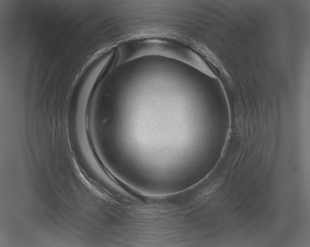 X0000083970530200702232020