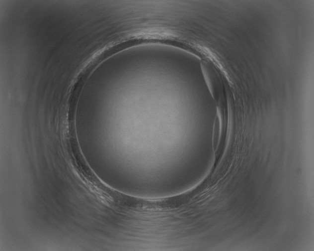 X0000083970531200702232020