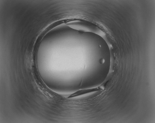 X0000083970532200702232020