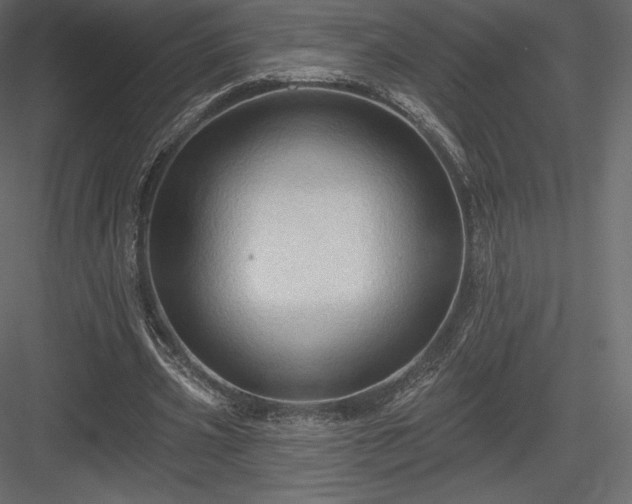 X0000083970533200702232020