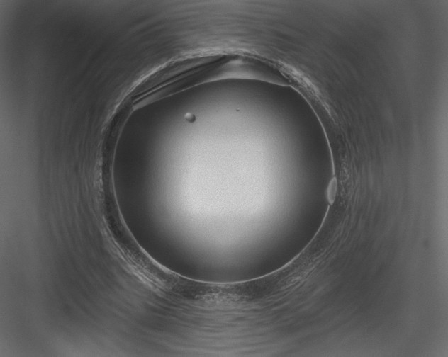 X0000083970535200702232020