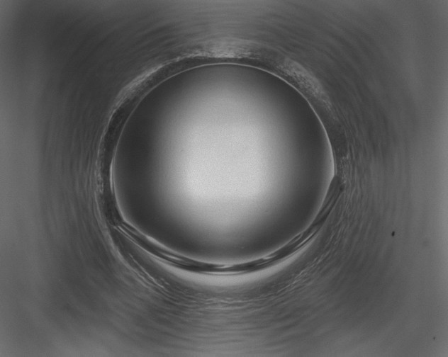 X0000083970536200702232020