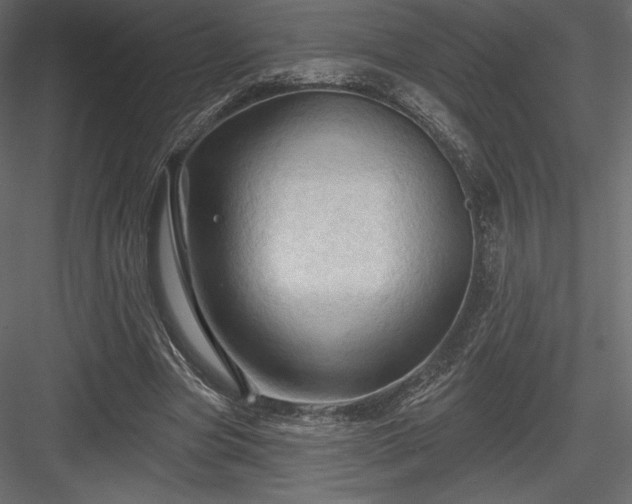 X0000083970537200702232020