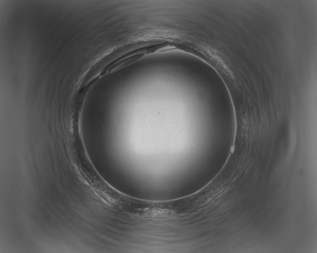 X0000083970539200702232020
