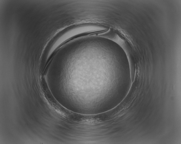 X0000083970540200702232020
