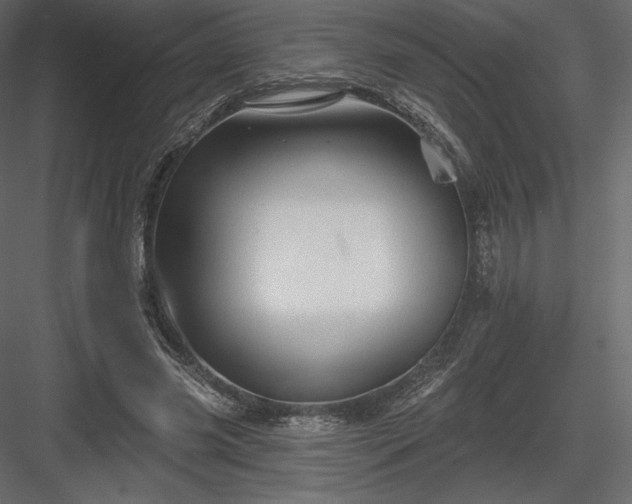 X0000083970541200702232020
