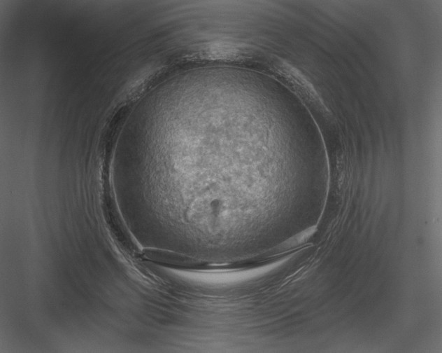 X0000083970542200702232020