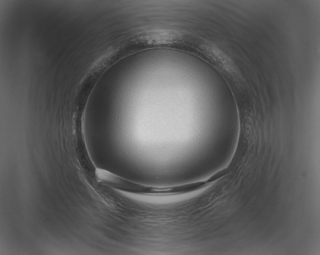 X0000083970543200702232020