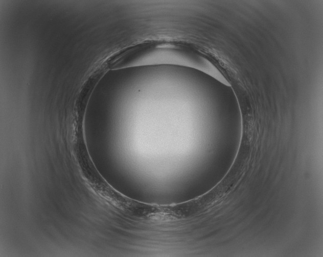 X0000083970544200702232020