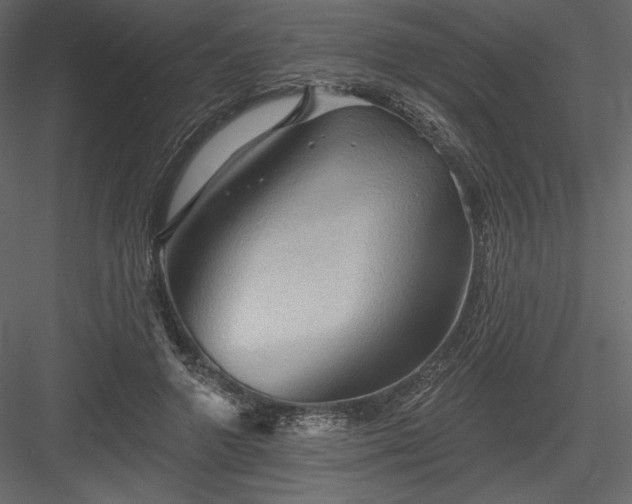 X0000083970546200702232020