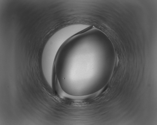 X0000083970556200702232021