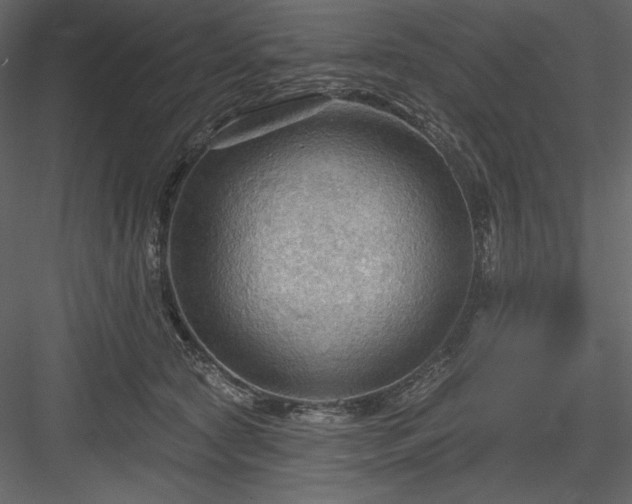 X0000083970561200702232021