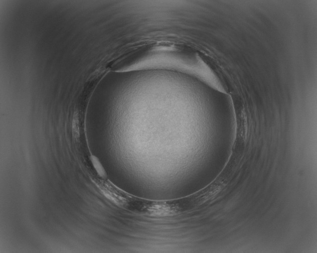 X0000083970562200702232021