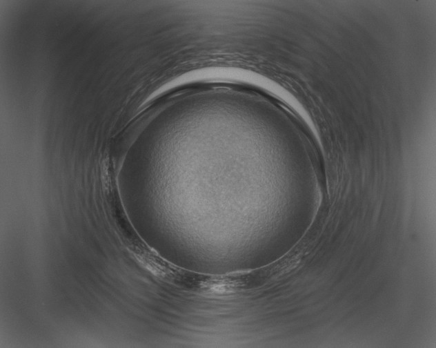 X0000083970564200702232021