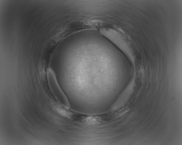 X0000083970566200702232021