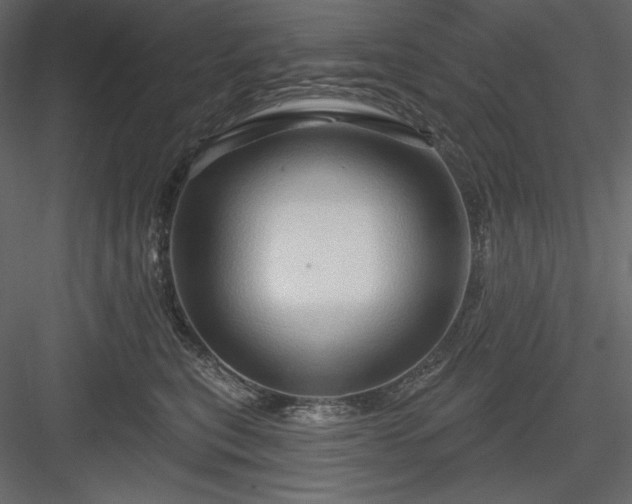 X0000083970567200702232021
