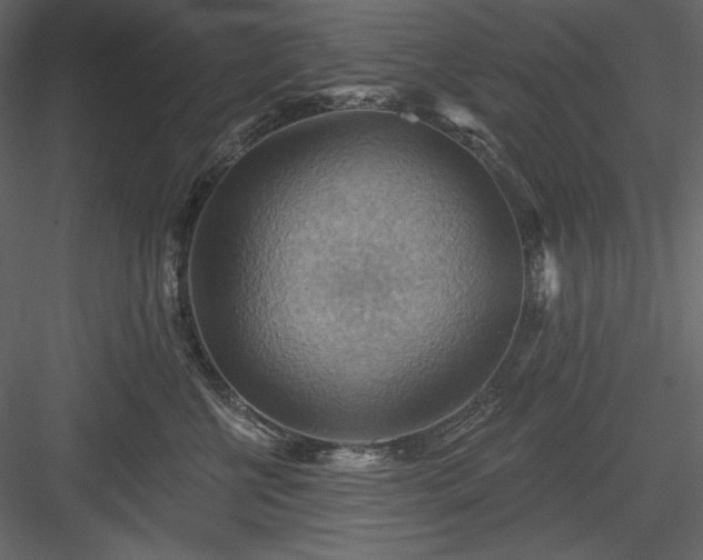 X0000083970570200702232021