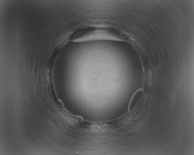 X0000083970571200702232021