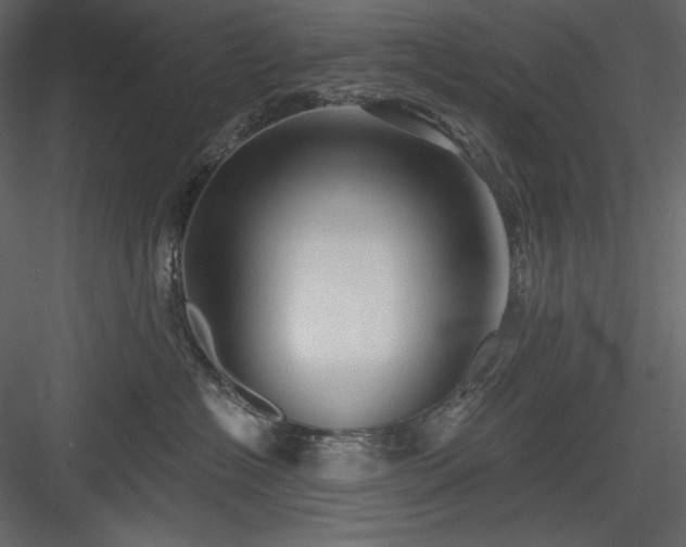 X0000083970574200702232021