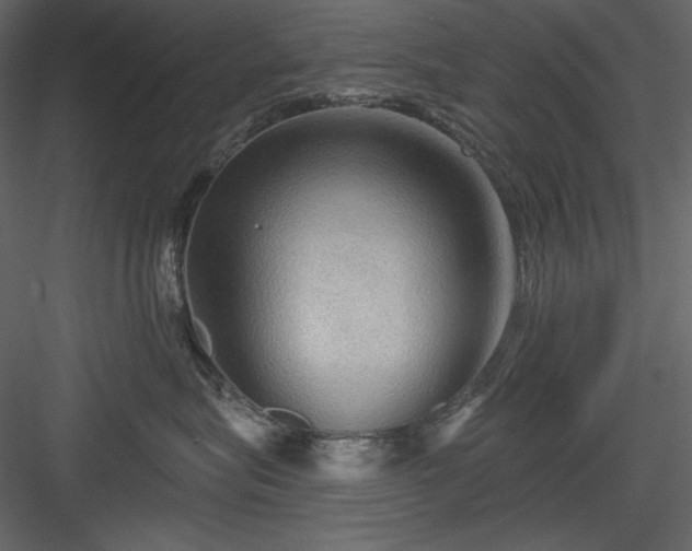 X0000083970575200702232021
