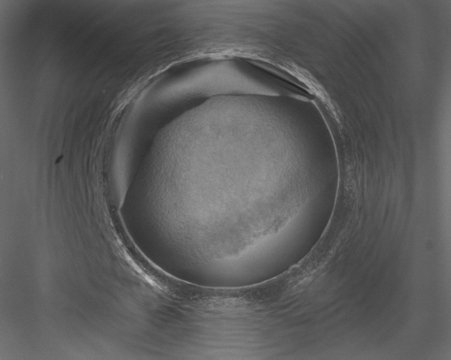 X0000083970577200702232020
