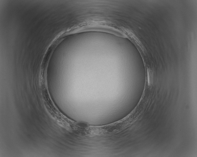 X0000083970579200702232020