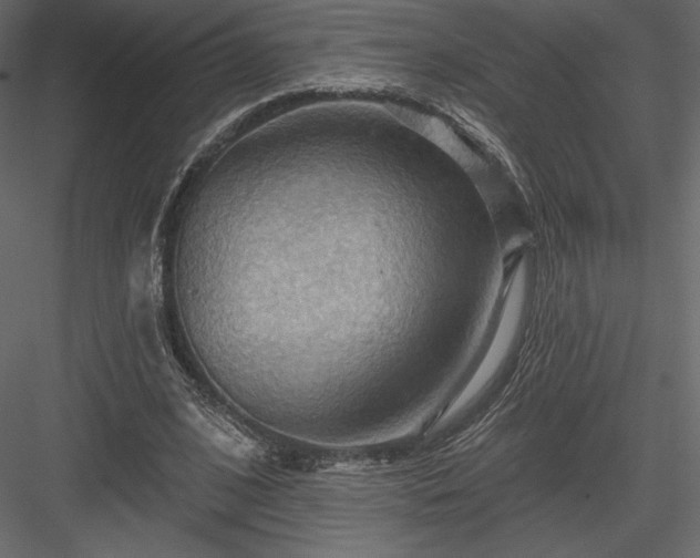 X0000083970584200702232020