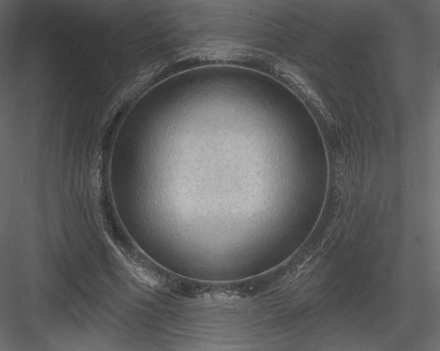 X0000083970586200702232020