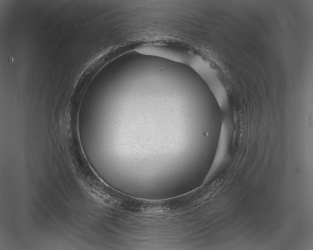 X0000083970587200702232020