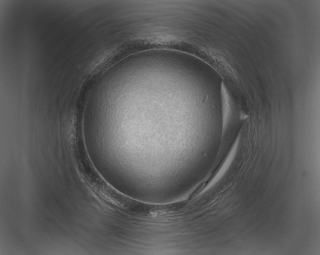 X0000083970591200702232020