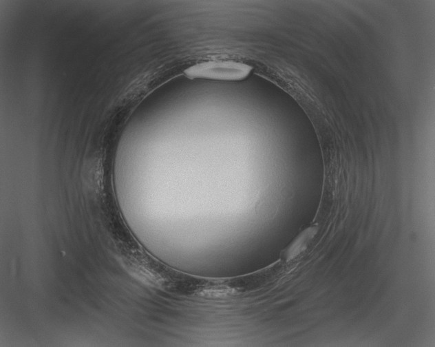 X0000083970595200702232020