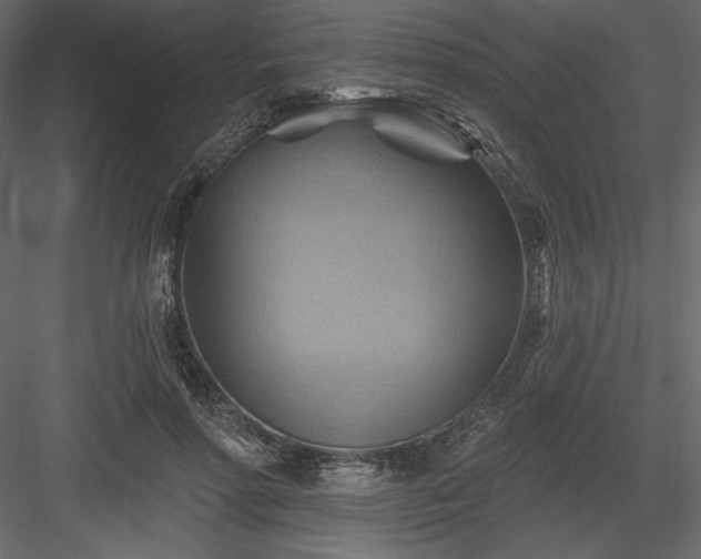 X0000083970598200702232020