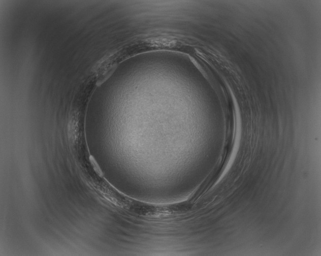 X0000083970600200702232020