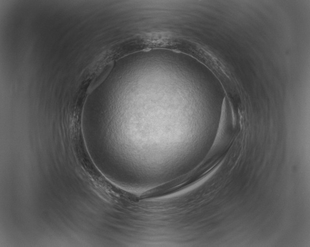 X0000083970601200702232020