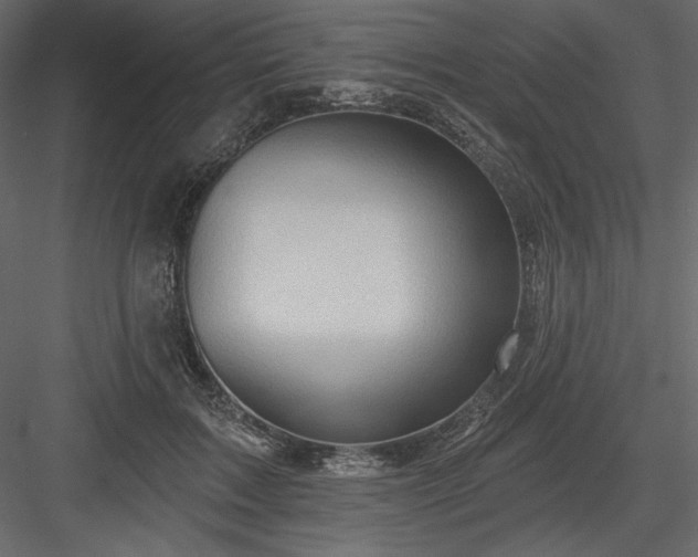 X0000083970603200702232020