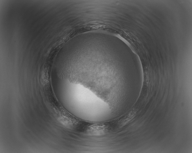 X0000083970606200702232020
