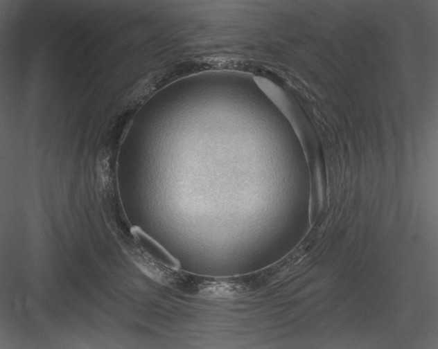 X0000083970611200702232020