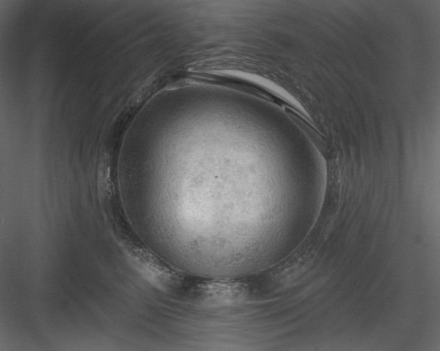 X0000083970615200702232019