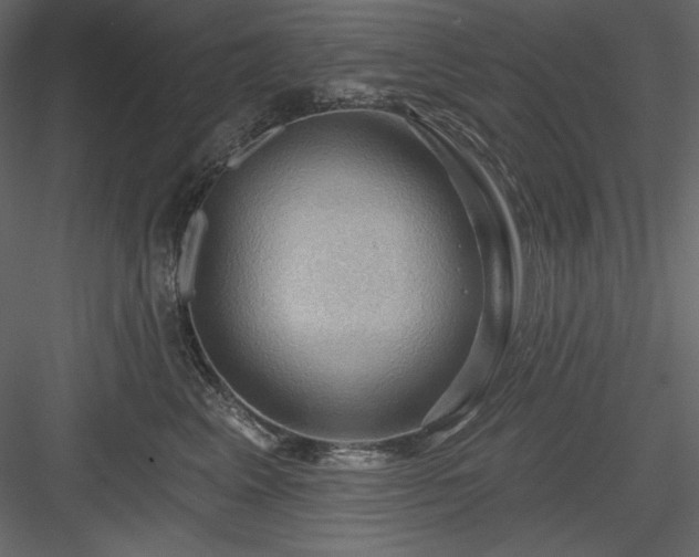 X0000083970617200702232019