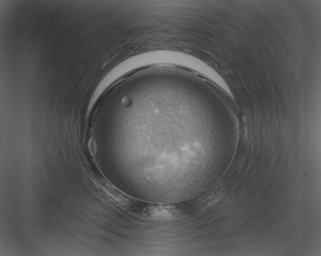 X0000083970618200702232019