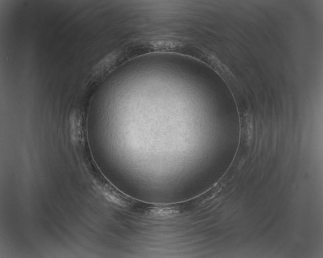 X0000083970619200702232019