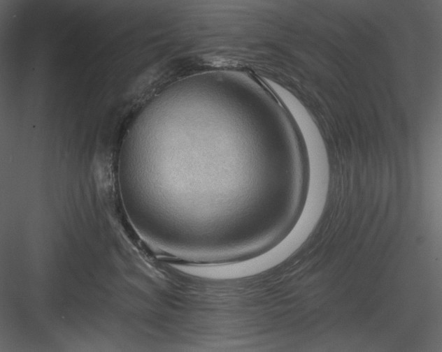 X0000083970620200702232019