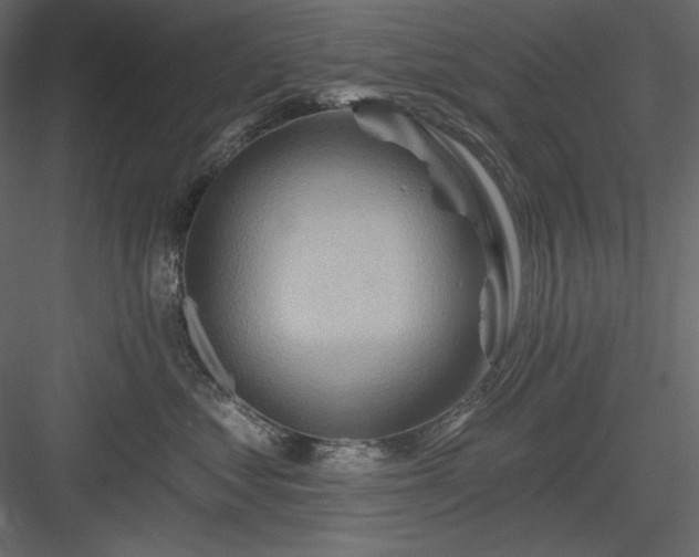 X0000083970621200702232019