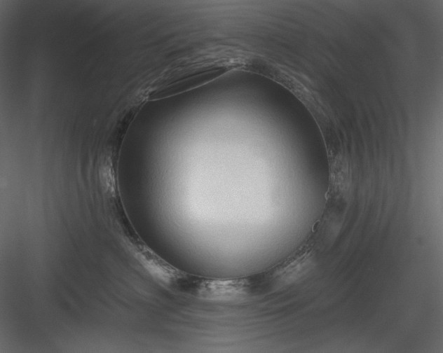 X0000083970622200702232019
