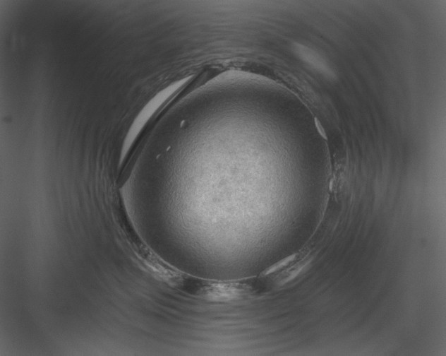 X0000083970623200702232019