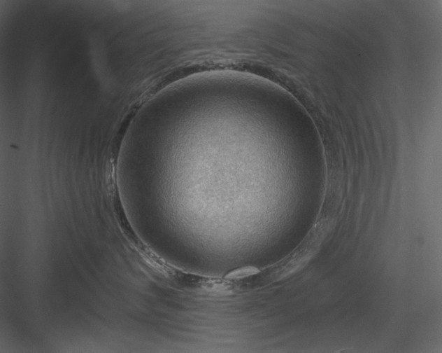 X0000083970624200702232019